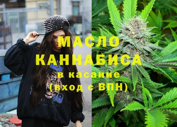 дмт Нея