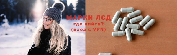 дмт Нея