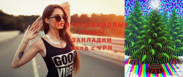 дурь Надым