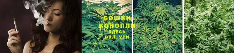 OMG зеркало  Кадников  площадка клад  Шишки марихуана SATIVA & INDICA 